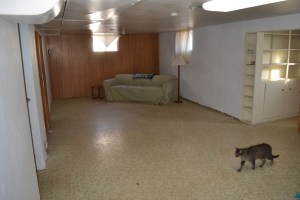 A little paint and new flooring is all it takes to go from this ...